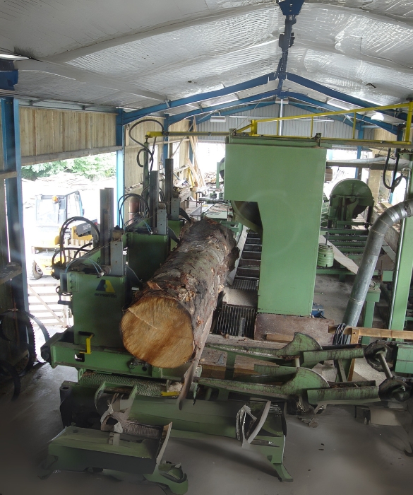 Salvador López Alcalde, electricista para aserraderos: montaje y puesta en marcha de línea de sierra para troncos.
